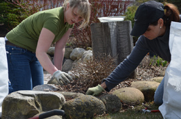 Garden Maintenance